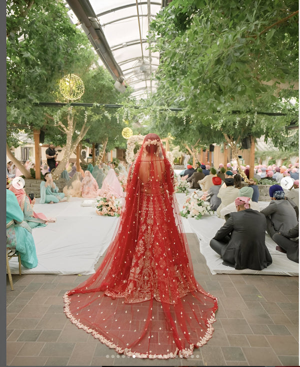 Uncut Border Veil