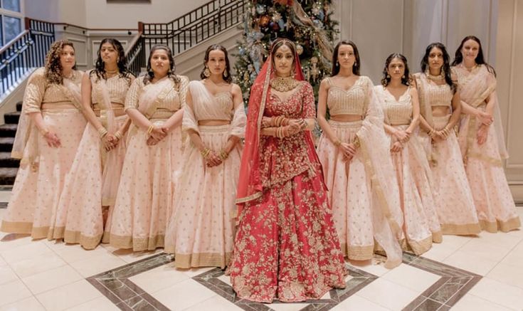 Pink Embroidered Lehenga
